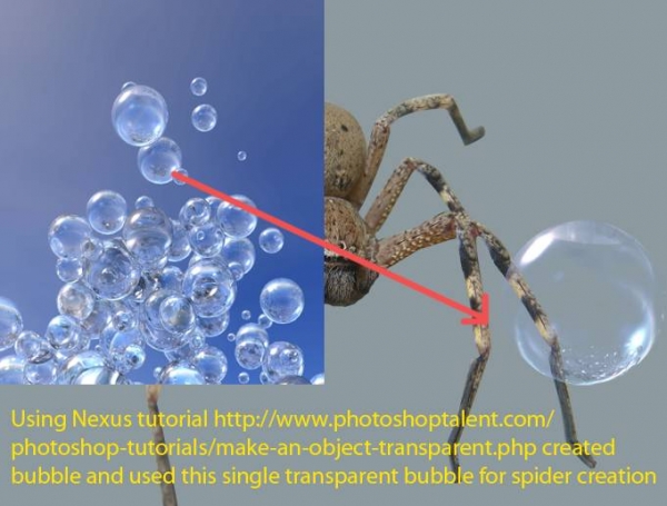 Creation of Glass Spider: Step 3